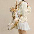 Hands free Pet Carrier