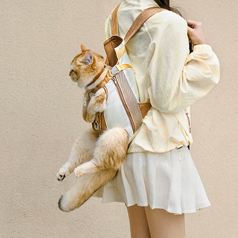 Hands free Pet Carrier